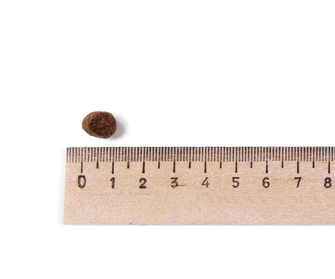 Best Breeder Grain Free Puppy Chicken with Sweet Potato, Carrots & Peas